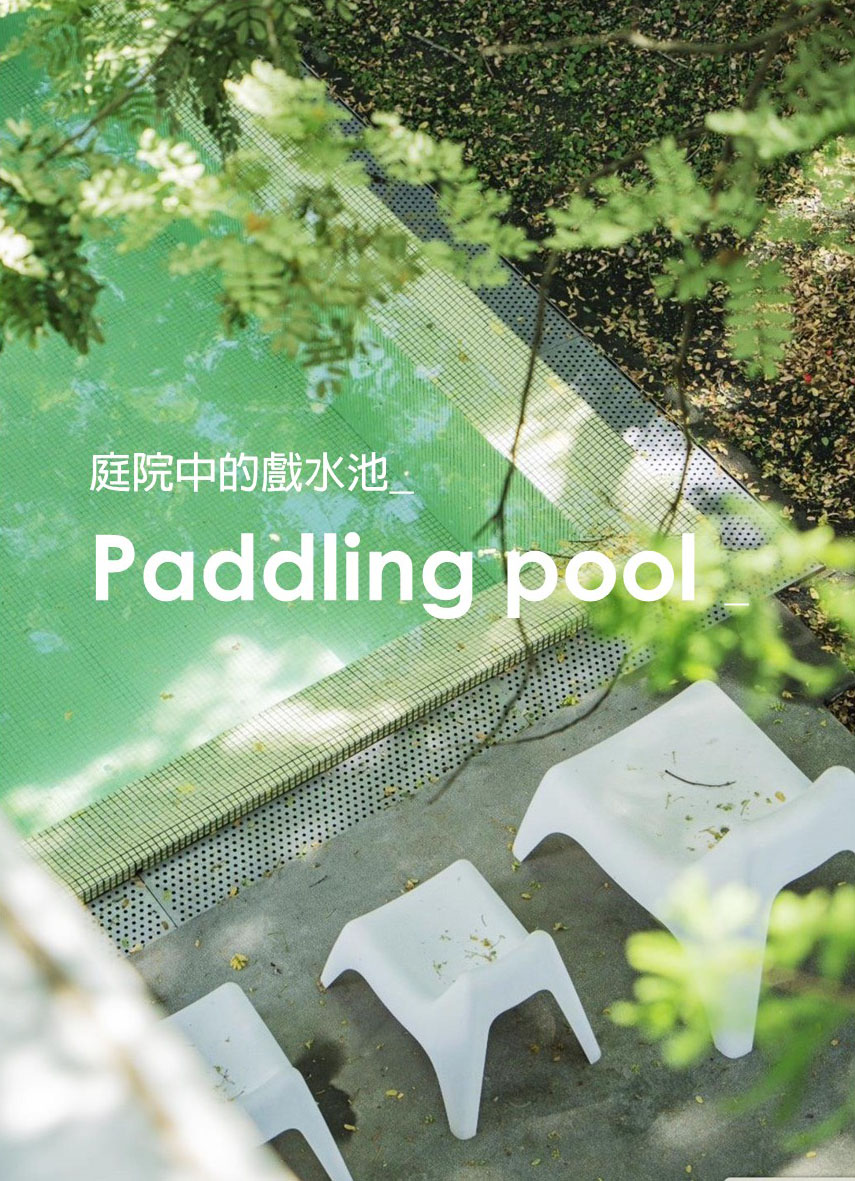 獨立森林晚鳥-一泊無食