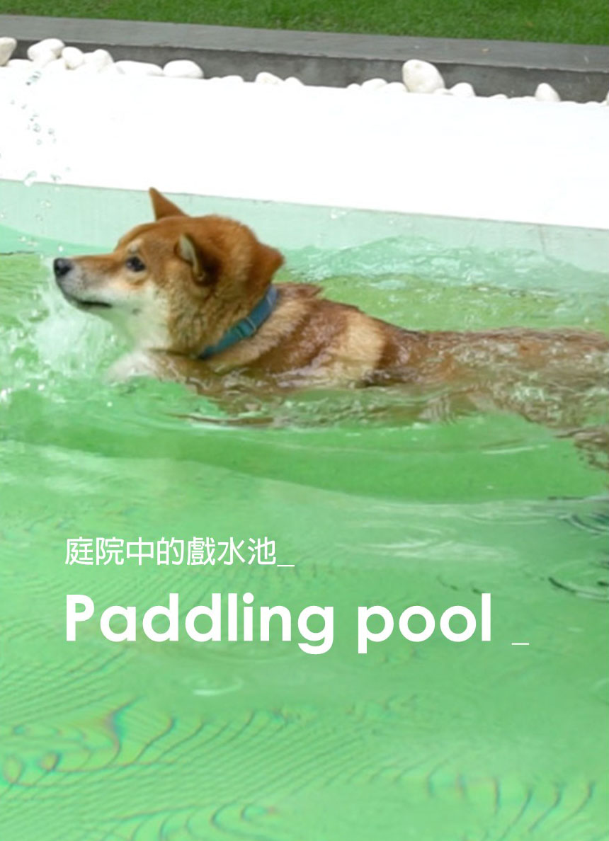 獨立森林-一泊無食