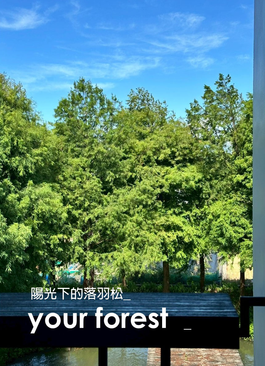 獨立森林-一泊無食