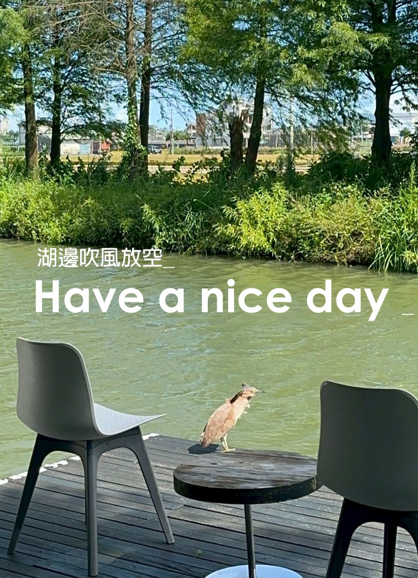 獨立森林晚鳥-一泊無食