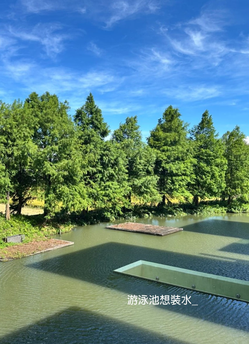 獨立森林-住下來一個月