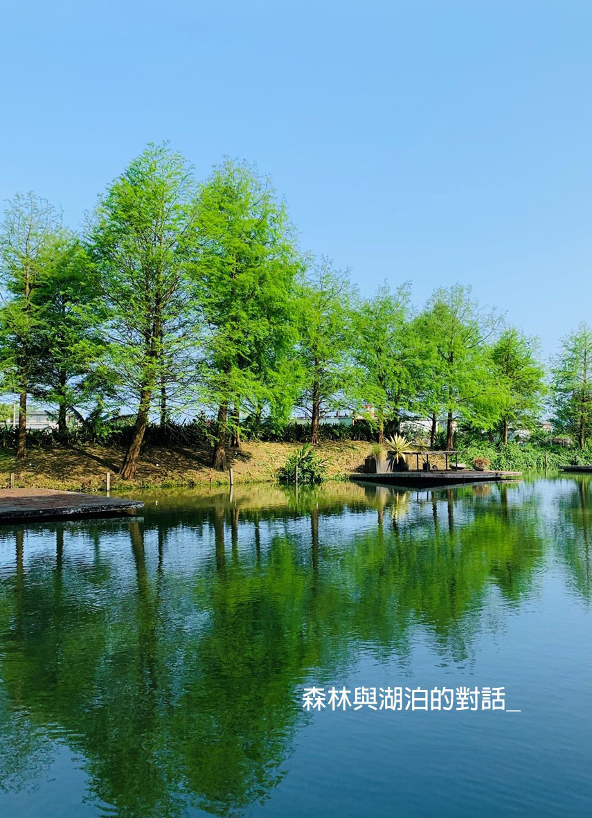 獨立森林-一泊無食